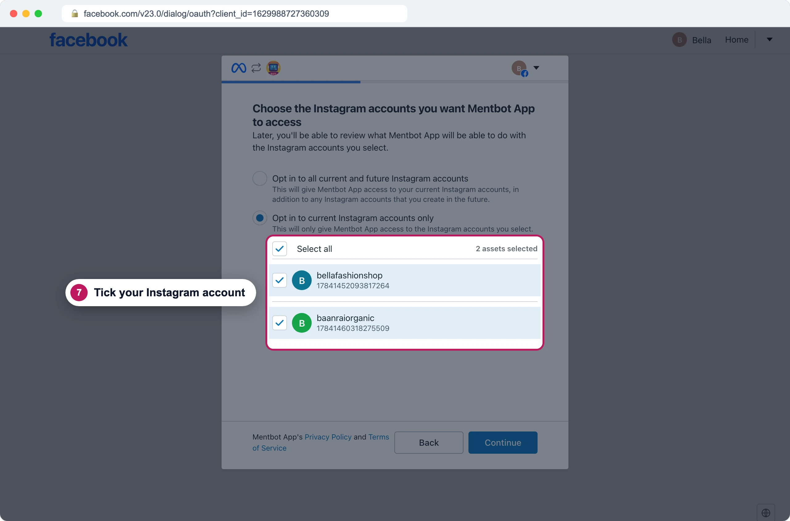Facebook's Choose the Instagram accounts screen with badge 7 on the two ticked accounts