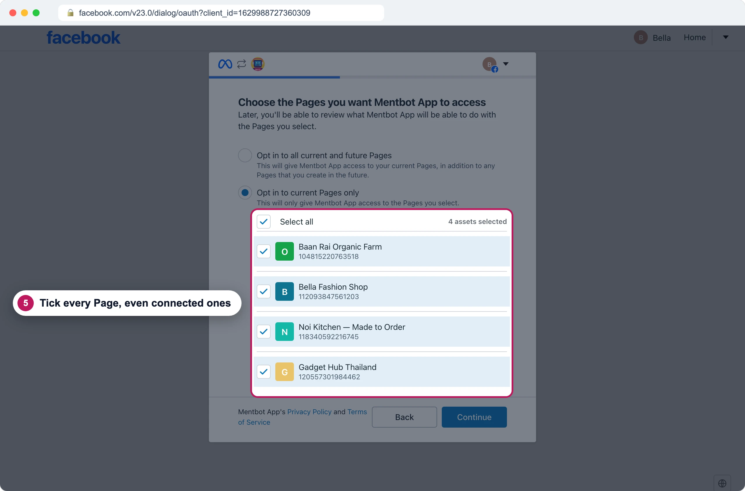 Facebook's Choose the Pages screen with Opt in to current Pages only chosen and badge 5 on the list of four ticked Pages