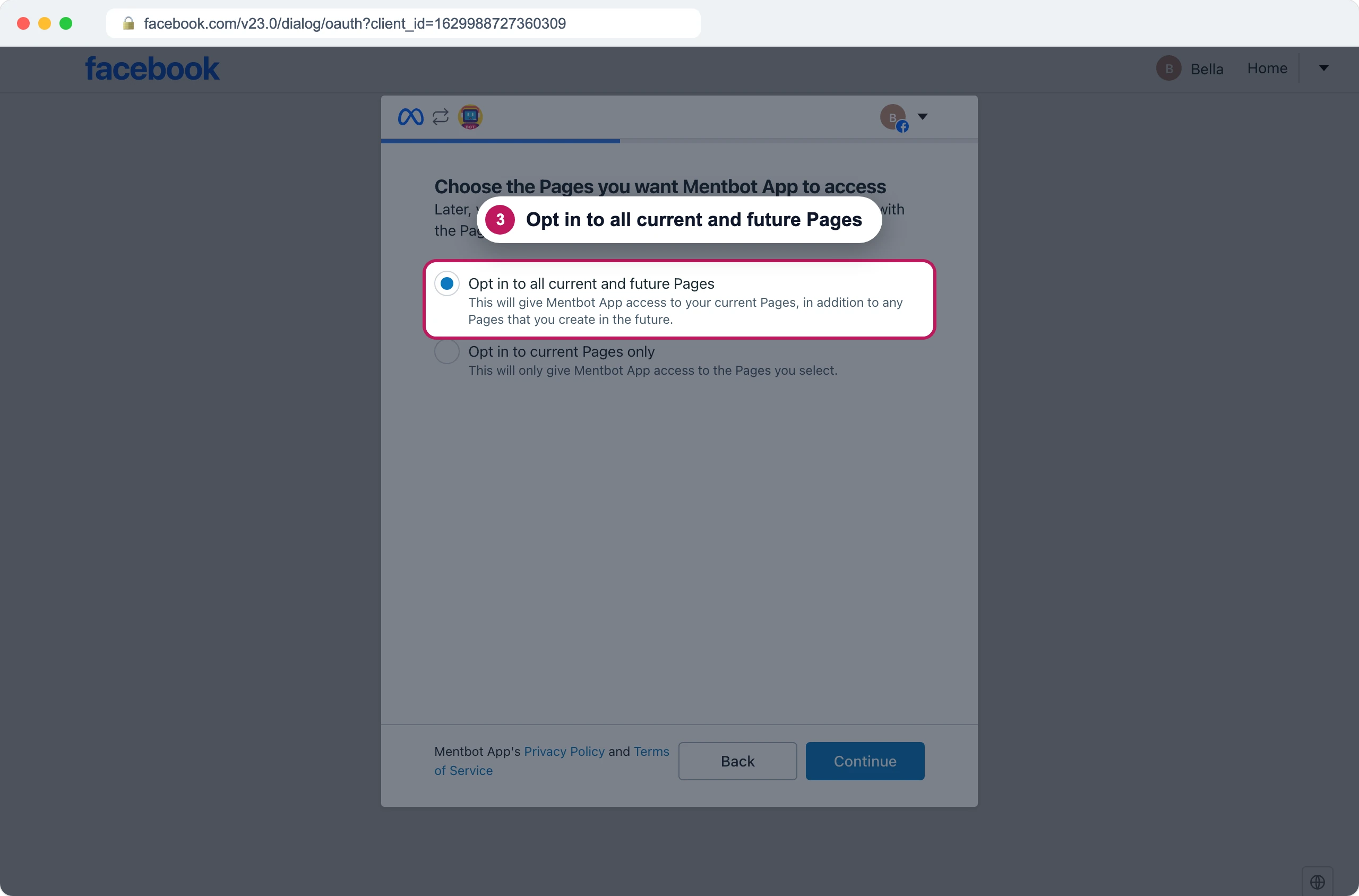 หน้าจอเลือกเพจของ Facebook ป้าย 3 ชี้ที่ตัวเลือก Opt in to all current and future Pages ที่เลือกไว้